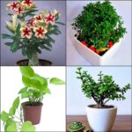 ⁦10⁩ - الصورة ⁦3⁩